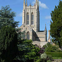 Buy canvas prints of St Edmundsbury Cathedral with abbey wall ruins by Mark Roper