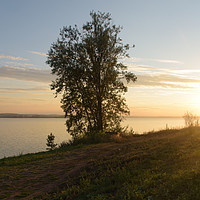 Buy canvas prints of Tree beside lake in Votkinsk at sunset by Mark Roper