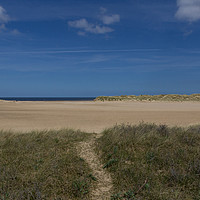 Buy canvas prints of Sand dunes and the beach at Wells-next-the-Sea by Mark Roper