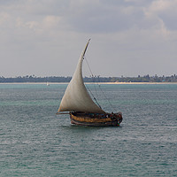 Buy canvas prints of Traditional Dhow Sailing near Zanzibar by Mark Roper
