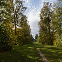 Buy canvas prints of Lime Avenue path with house at Nowton Park in autu by Mark Roper