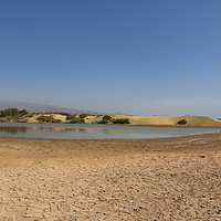Buy canvas prints of La Charca nature reserve lake next to the sand dun by Mark Roper
