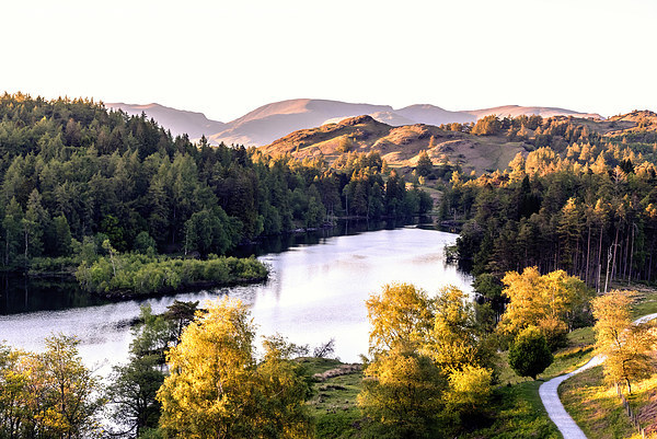  Sunset approaches over Tarn Hows Picture Board by John Vaughan