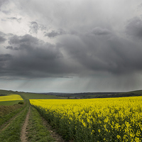 Buy canvas prints of  Rain on Harrow and Blackpatch Hill, Worthing by Len Brook