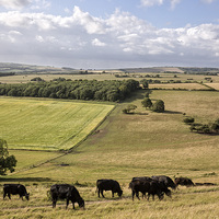 Buy canvas prints of Cissbury Ring, The South Downs by Len Brook