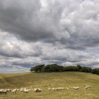 Buy canvas prints of  Clouds over Chanctonbury Ring, near Worthing by Len Brook