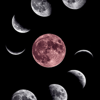 Buy canvas prints of Moon Collage by Len Brook