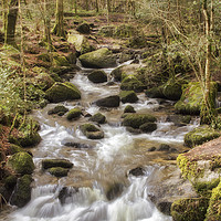 Buy canvas prints of Kennall Vale by Len Brook