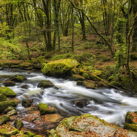 Buy canvas prints of The Golitha Falls, Cornwall by Len Brook