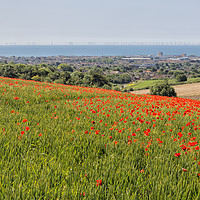 Buy canvas prints of Poppies and the Sea by Len Brook