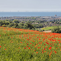 Buy canvas prints of Lancing Poppies by Len Brook
