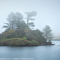 Buy canvas prints of Cregennan Lakes Island by Black Key Photography