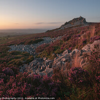 Buy canvas prints of Stiperstones Heather by Black Key Photography