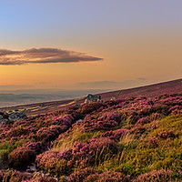 Buy canvas prints of Sunset over the Heather, Stiperstones, Shropshire by Black Key Photography