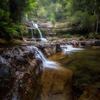 Buy canvas prints of Liffey Falls, Tasmania by Black Key Photography