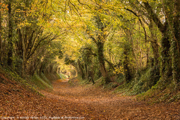 Autumn at Halnaker Tunnel, West Sussex Canvas Print by Emma Varley