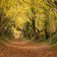 Buy canvas prints of Autumn at Halnaker Tunnel, West Sussex by Emma Varley