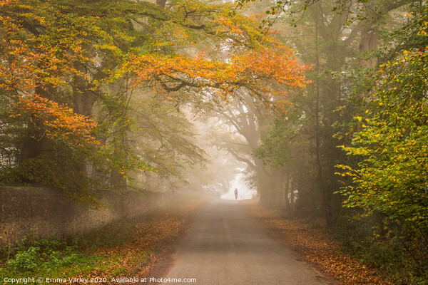 Autumn mists Canvas Print by Emma Varley
