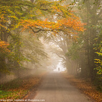 Buy canvas prints of Autumn mists by Emma Varley
