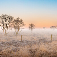 Buy canvas prints of Staffordshire moorland dawn by Michael Newton