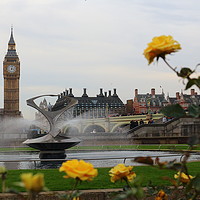 Buy canvas prints of London Roses by Rumyana Whitcher