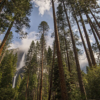 Buy canvas prints of Yosemite by Sandra Kepkowska
