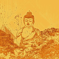 Buy canvas prints of Warm Buddha by Magda van der Kleij