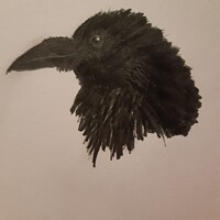 Buy canvas prints of Raven by Teresa Moore