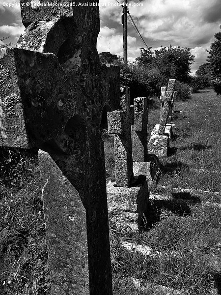  Row of headstones - Salwayash churchyard Picture Board by Teresa Moore