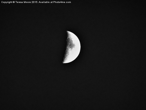  Half moon taken over Salwayash Picture Board by Teresa Moore
