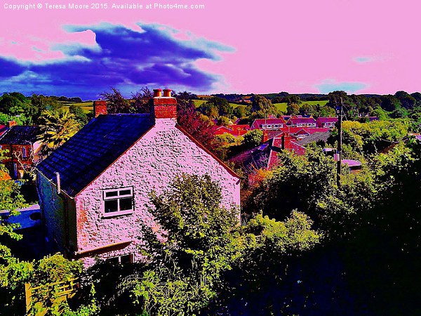  Bradpole houses in the hillside - Dorset Picture Board by Teresa Moore