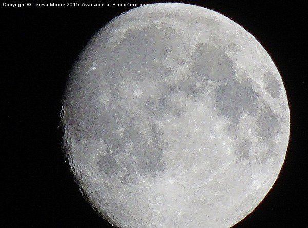  Full Moon26/08/15 Taken over Salwayash, Dorset  Picture Board by Teresa Moore