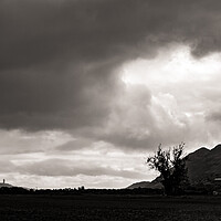 Buy canvas prints of Wallace monument and Dumyat by Jade Scott