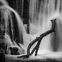 Buy canvas prints of Branch perched on Alva glen waterfall by Jade Scott