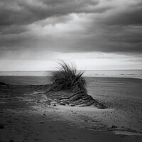 Buy canvas prints of Cloudy day in lunan bay by Jade Scott