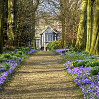 Buy canvas prints of The Old Hall in Spring by Rob Medway