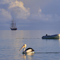 Buy canvas prints of Pelican and sailing ship by tim miller