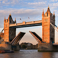 Buy canvas prints of tower bridge open summer evening  by tim miller