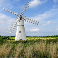 Buy canvas prints of Thurne Windmill by tim miller