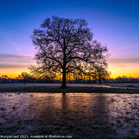 Buy canvas prints of Winter sunrise in Dorset by Richard Murgatroyd