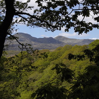 Buy canvas prints of  Moelwyn by Claire Merchant