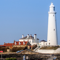 Buy canvas prints of  St Marys Island and Lighthouse  by Naylor's Photography