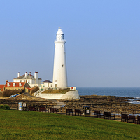 Buy canvas prints of  St Mary's Lighthouse by Naylor's Photography