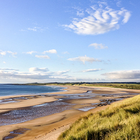Buy canvas prints of  Beadnell Bay Seascape by Naylor's Photography