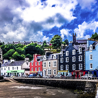 Buy canvas prints of Painted houses in Tobermory Isle of Mull  Scotland by Naylor's Photography