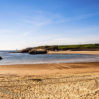 Buy canvas prints of Cullercoats Bay in Sunshine by Naylor's Photography