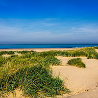 Buy canvas prints of Sandy dunes of Northumberland by Naylor's Photography