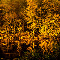 Buy canvas prints of The river wear reflections by night by Naylor's Photography