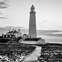 Buy canvas prints of St. Mary's Lighthouse Standing Proudly......... by Naylor's Photography