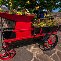 Buy canvas prints of Flower cart still blossoming............ by Naylor's Photography